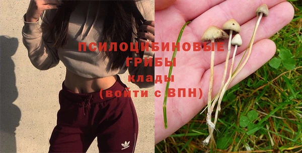 гашик Абдулино