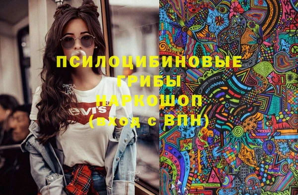мдпв Абаза